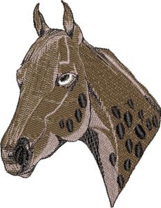 horse-embroidery